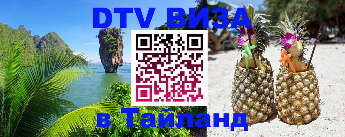 Сколько стоит DTV виза — актуальные цены, оформление даже без документов - Махачкала 